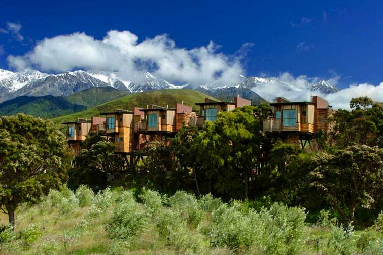 Hapuku Lodge + Tree Houses: Kaikoura, New Zealand