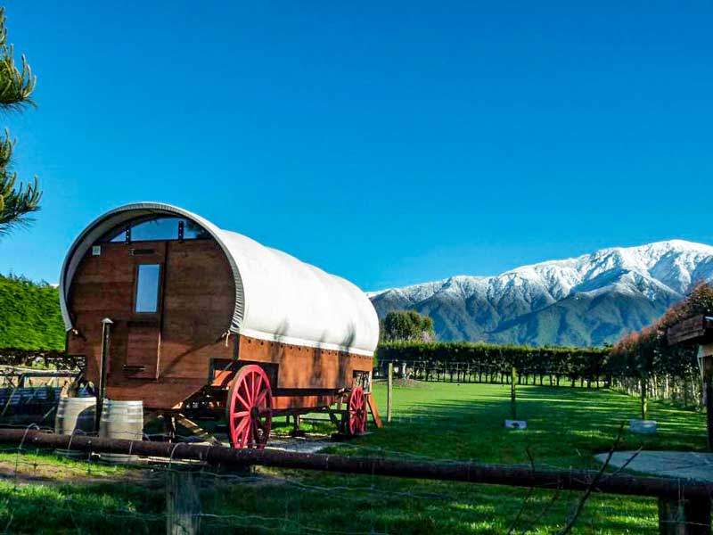 Wacky Stays – New Zealand